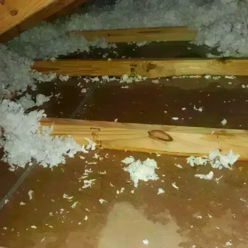 Attic Water Damage in Stamford, CT